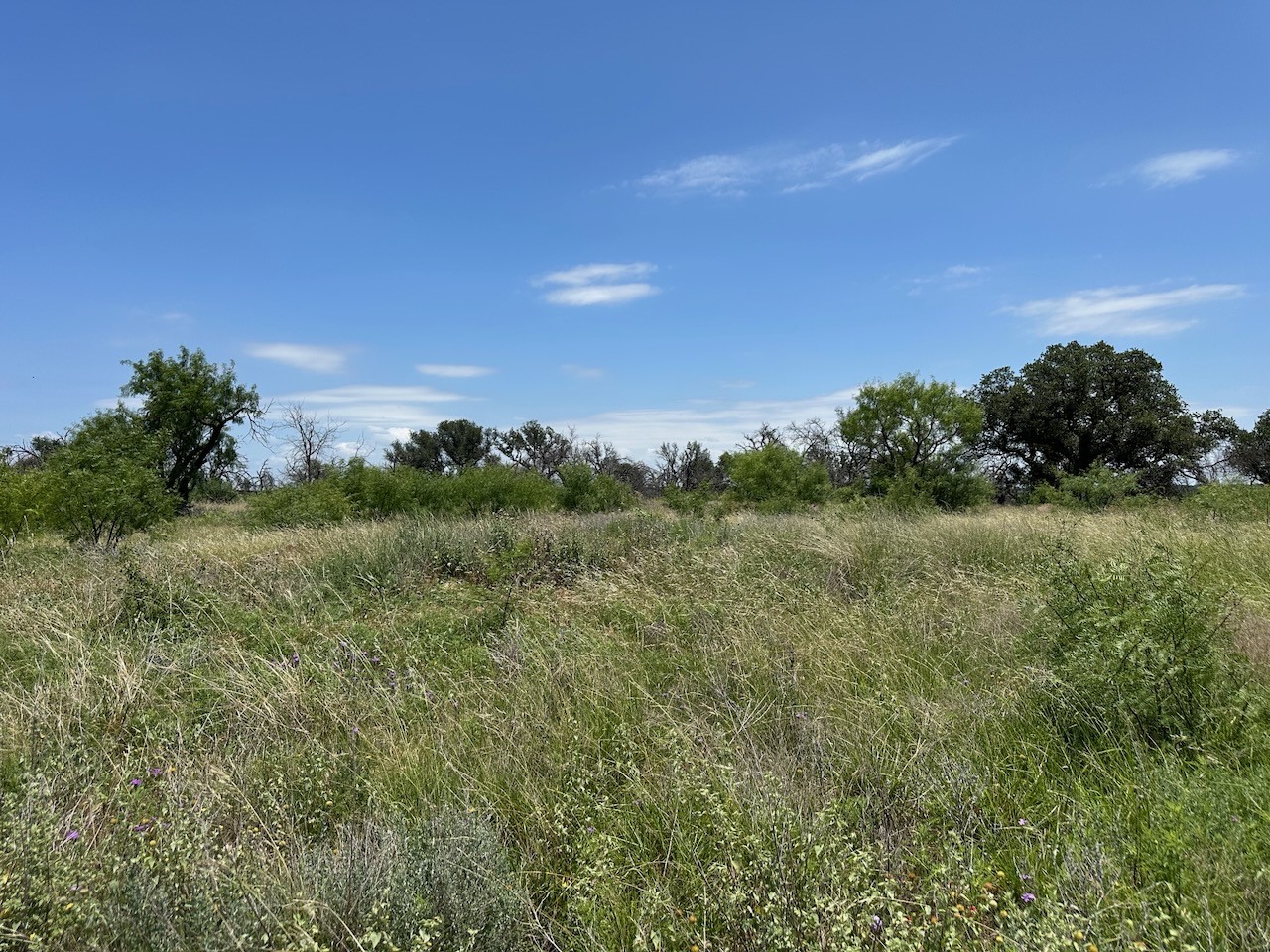 782 Feather Bay Drive Brownwood TX 76801