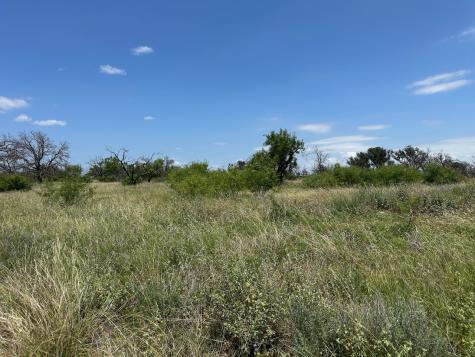 782 Feather Bay Drive Brownwood TX 76801