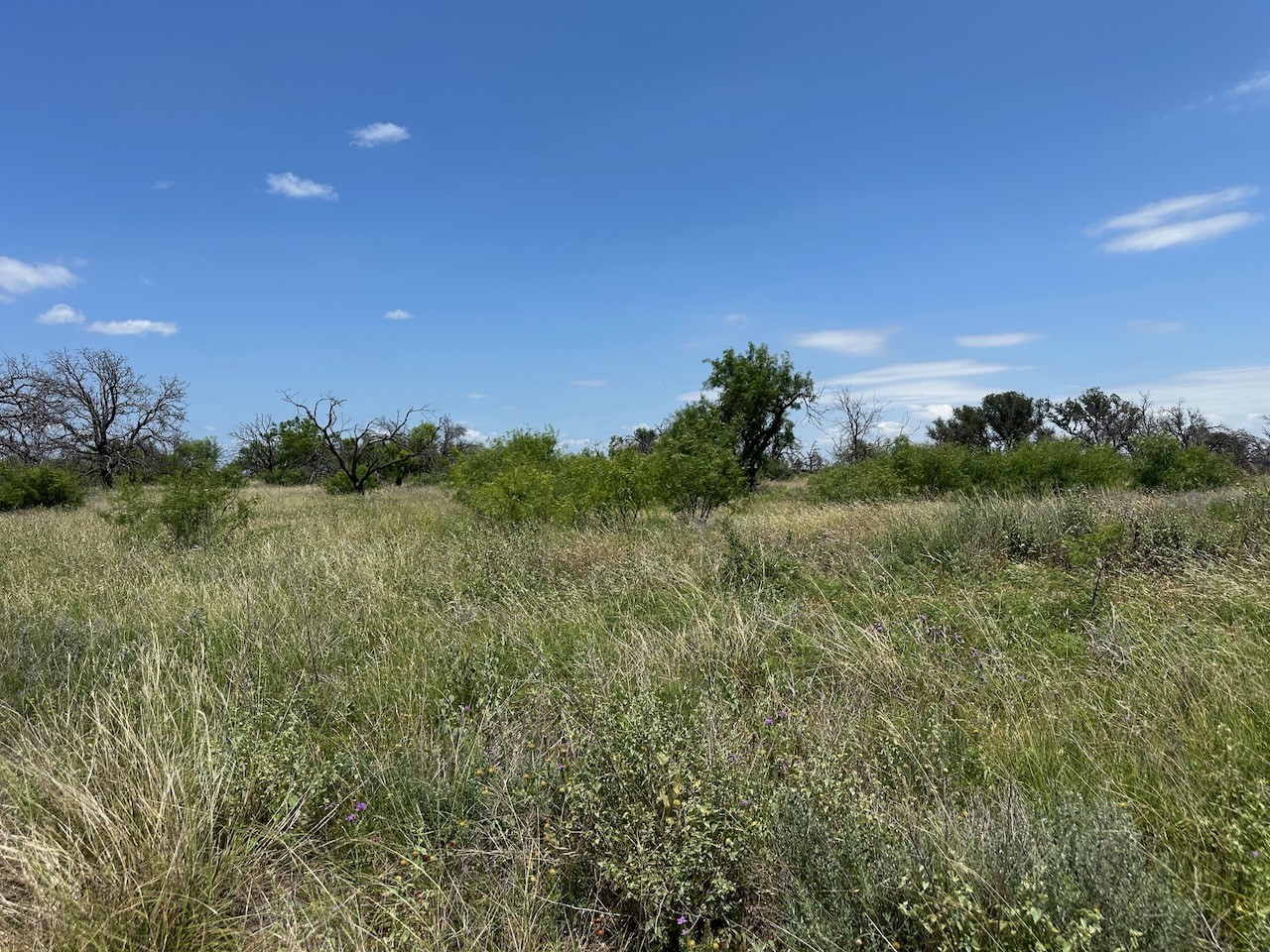 782 Feather Bay Drive Brownwood TX 76801