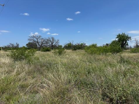 782 Feather Bay Drive Brownwood TX 76801