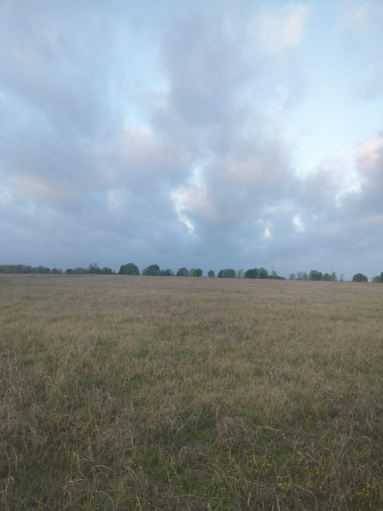 2834 St Highway 81 Itasca TX 76055