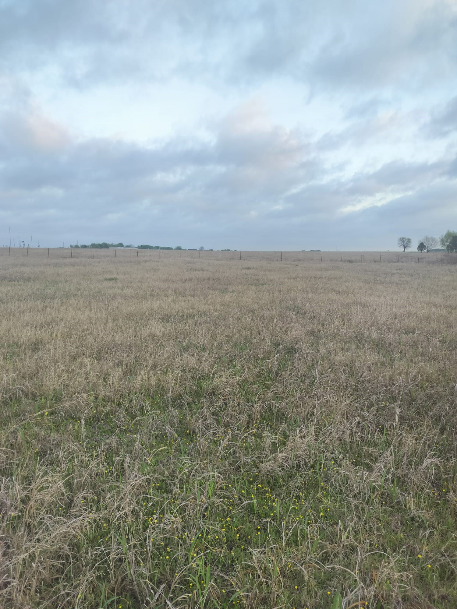 2834 St Highway 81 Itasca TX 76055