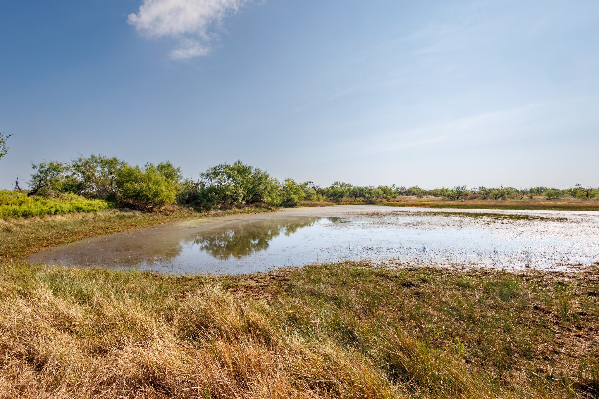 Tbd 90 Highway 67-84 Bangs TX 76823