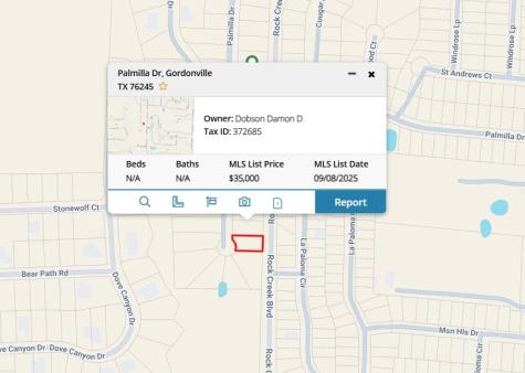 741 Palmilla Drive Gordonville TX 76245