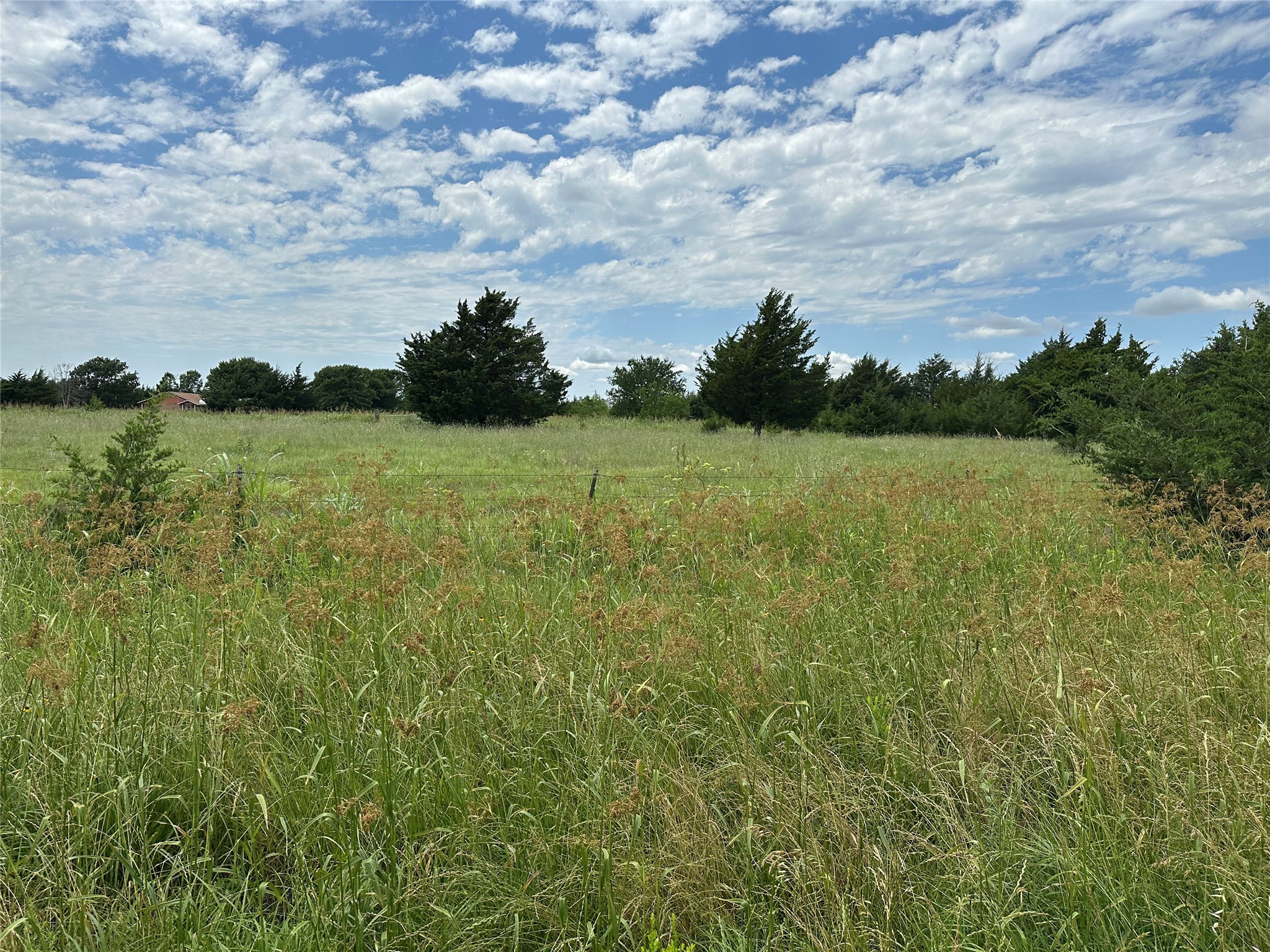 Lot 6 Lemonade Lane Farmersville TX 75442