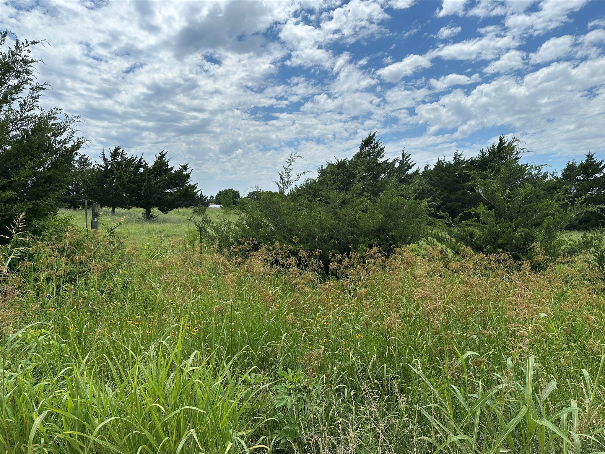 Lot 6 Lemonade Lane Farmersville TX 75442
