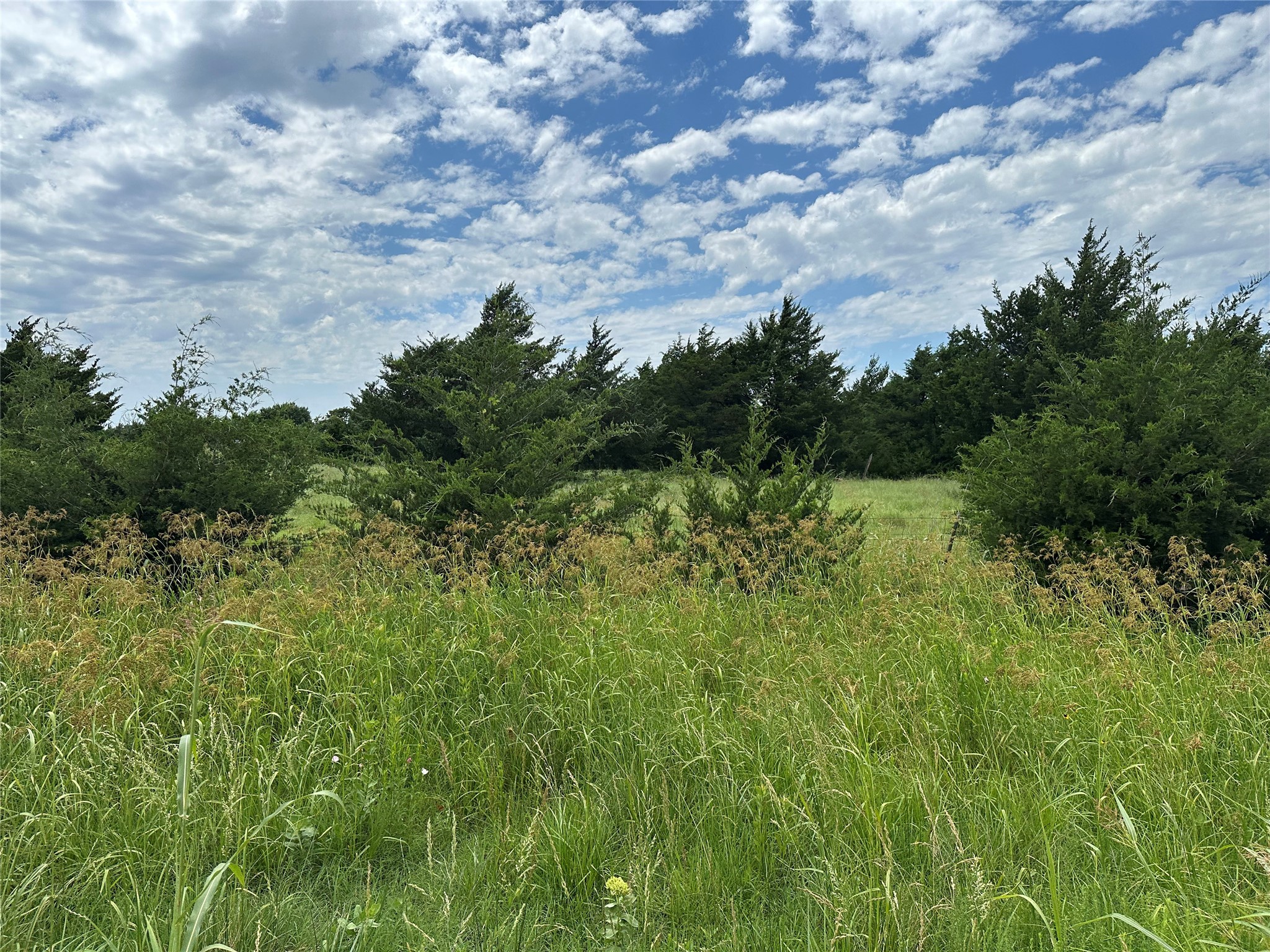 Lot 6 Lemonade Lane Farmersville TX 75442