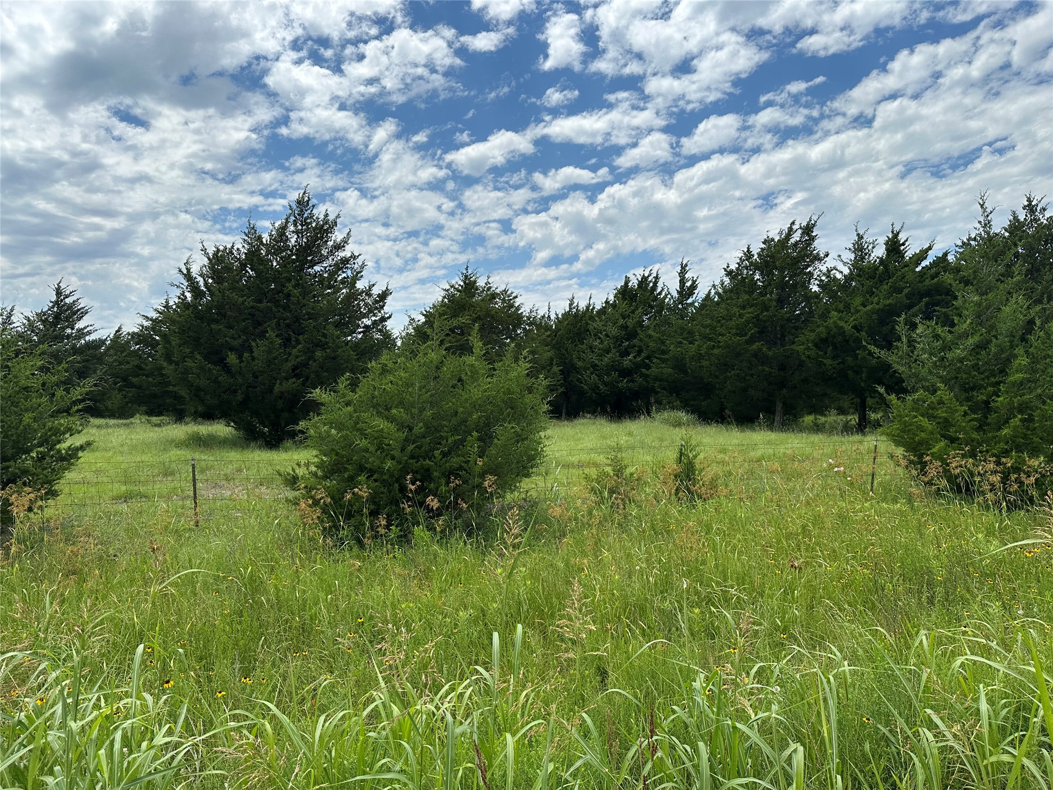 Lot 6 Lemonade Lane Farmersville TX 75442