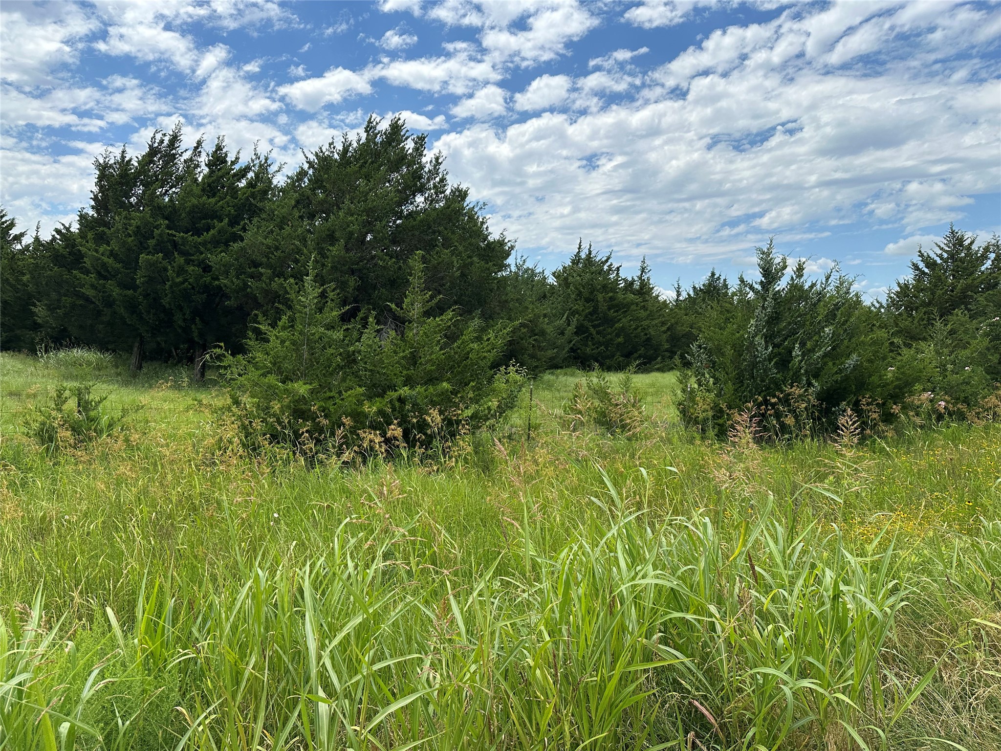 Lot 6 Lemonade Lane Farmersville TX 75442