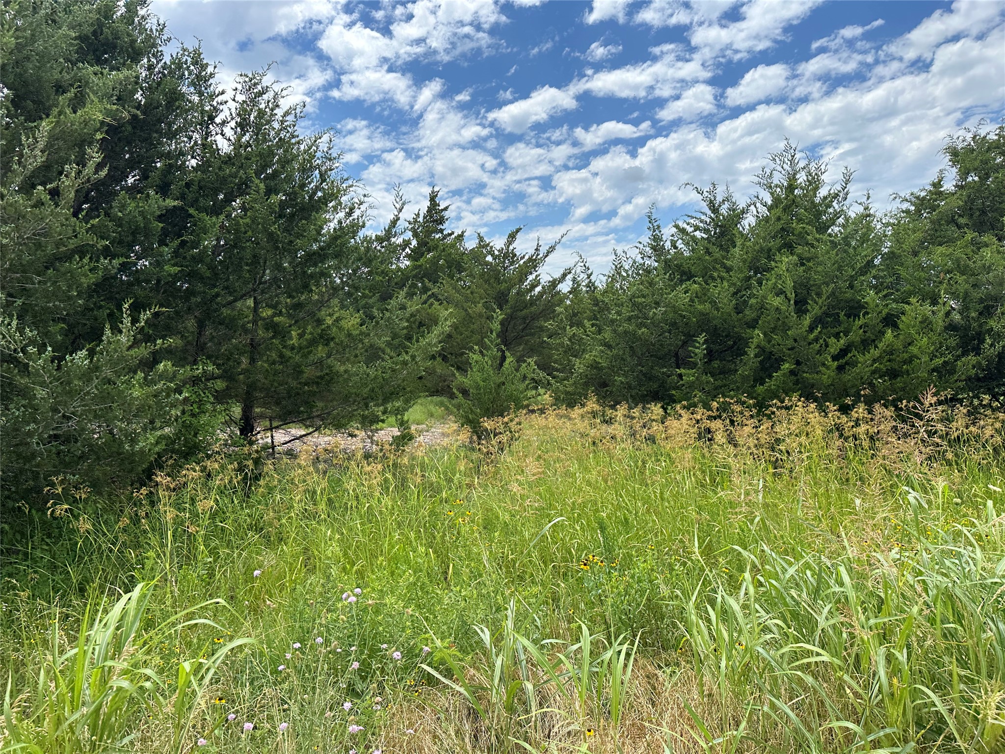 Lot 6 Lemonade Lane Farmersville TX 75442