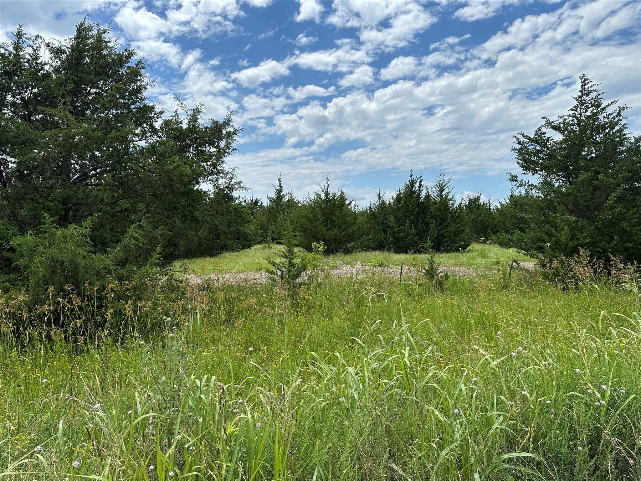 Lot 6 Lemonade Lane Farmersville TX 75442