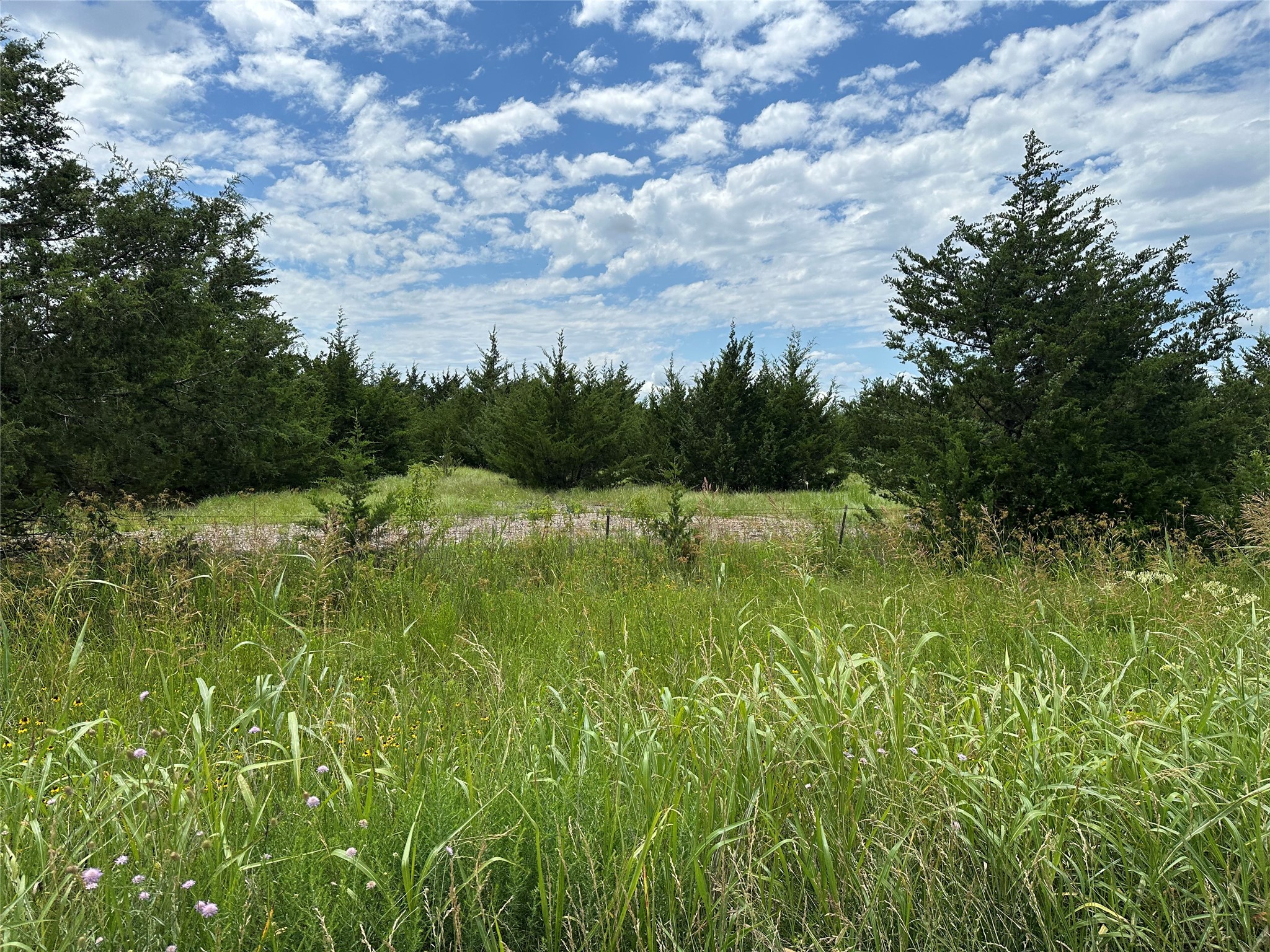 Lot 6 Lemonade Lane Farmersville TX 75442