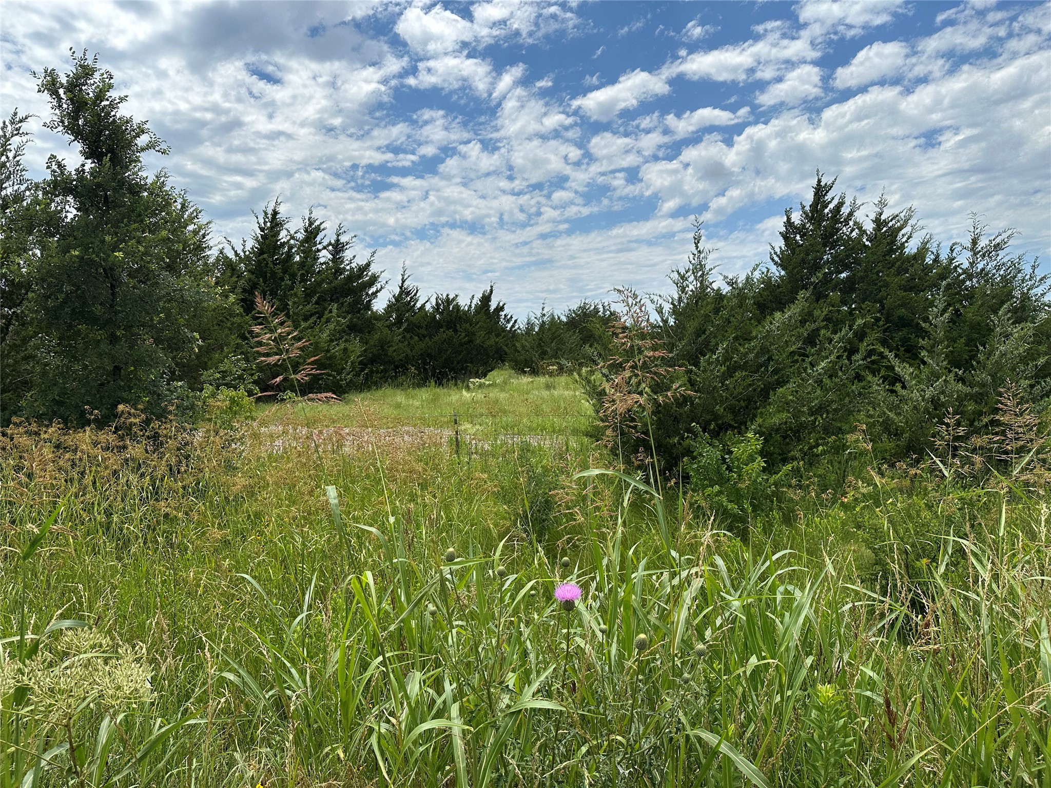 Lot 6 Lemonade Lane Farmersville TX 75442