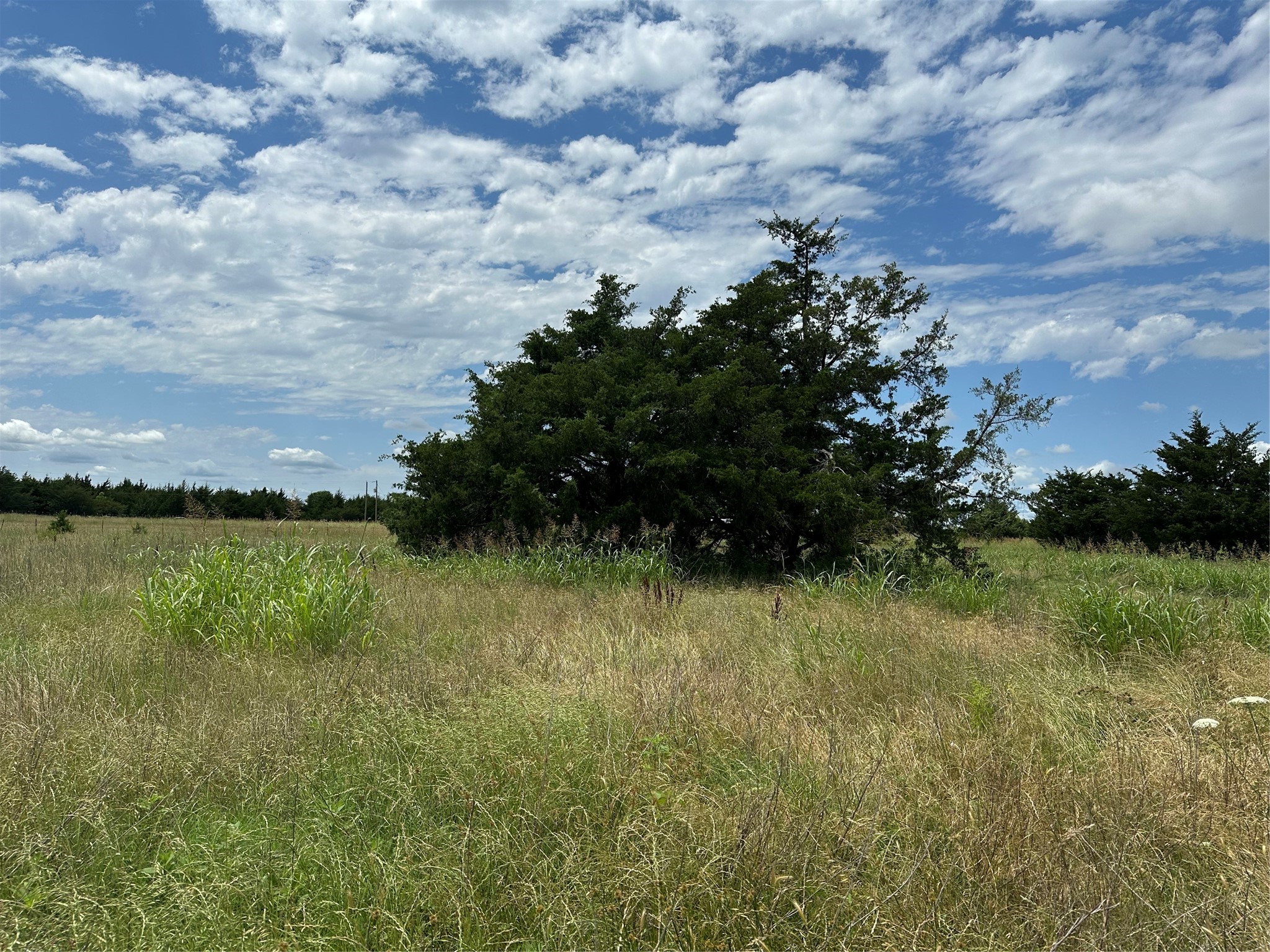 Lot 6 Lemonade Lane Farmersville TX 75442