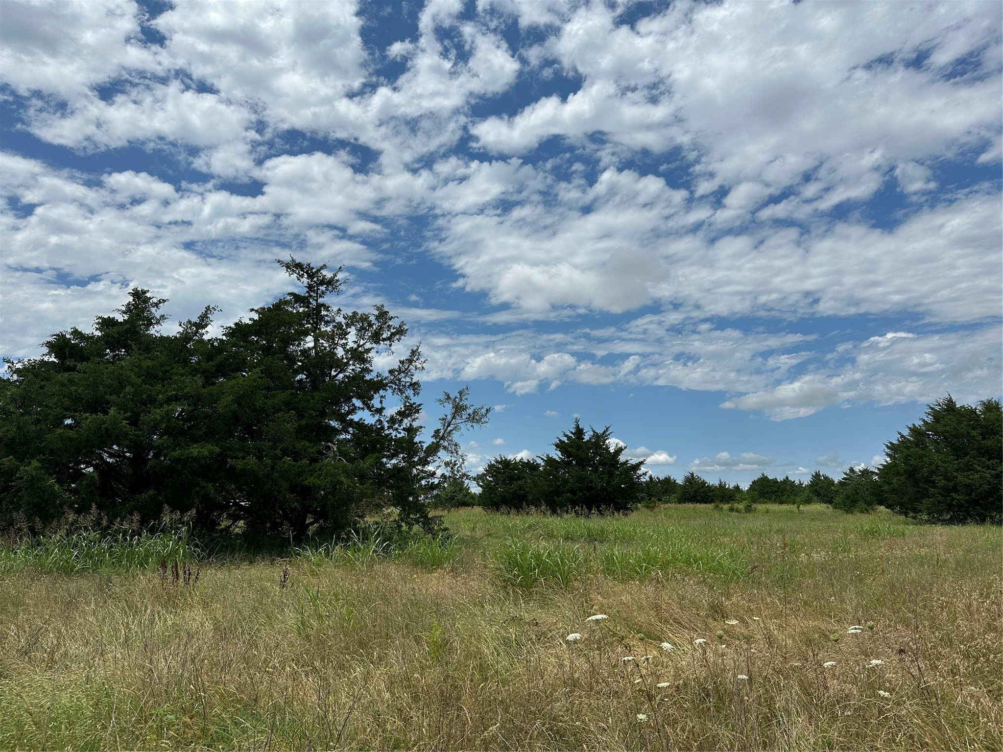 Lot 6 Lemonade Lane Farmersville TX 75442