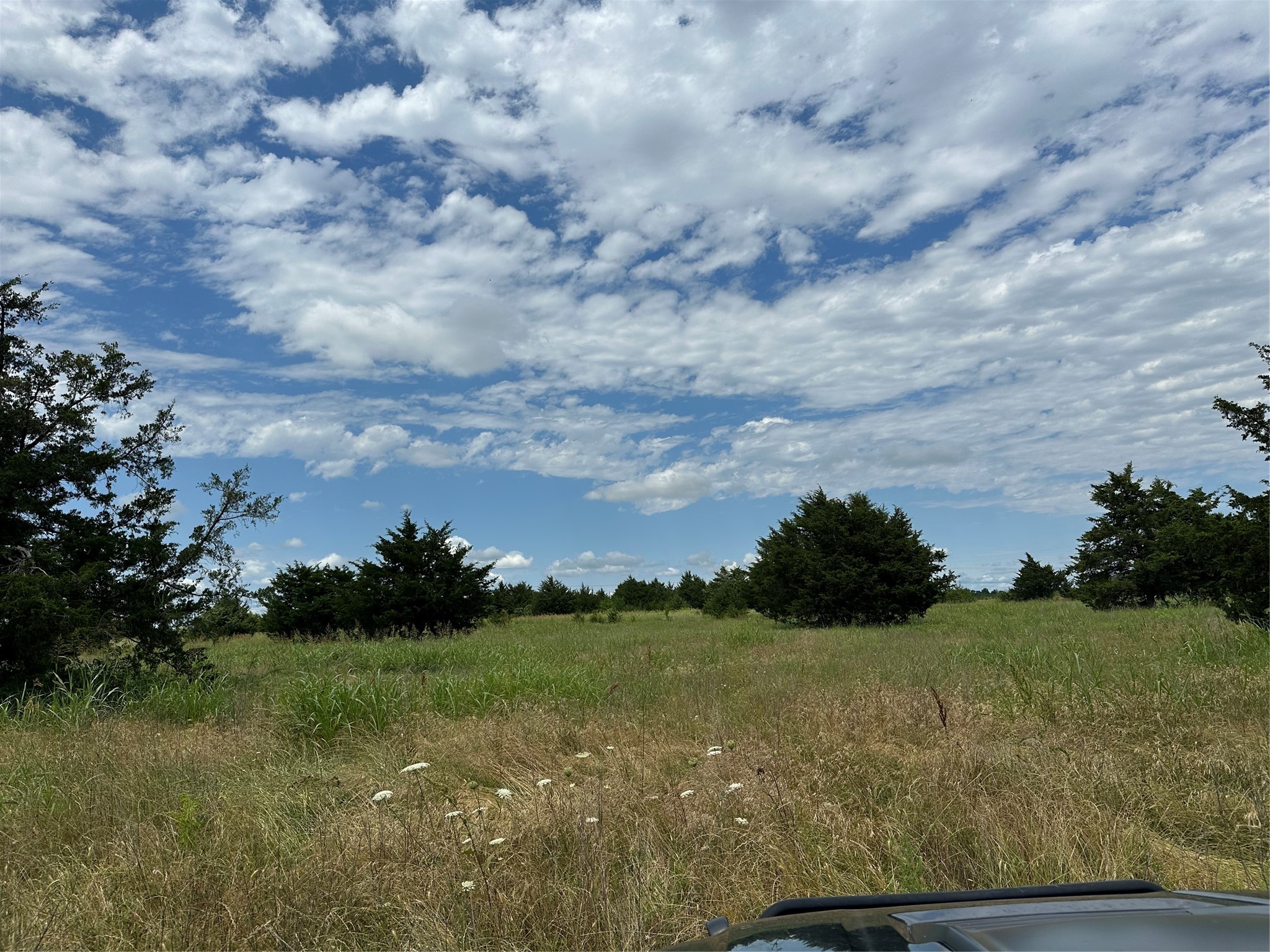 Lot 6 Lemonade Lane Farmersville TX 75442