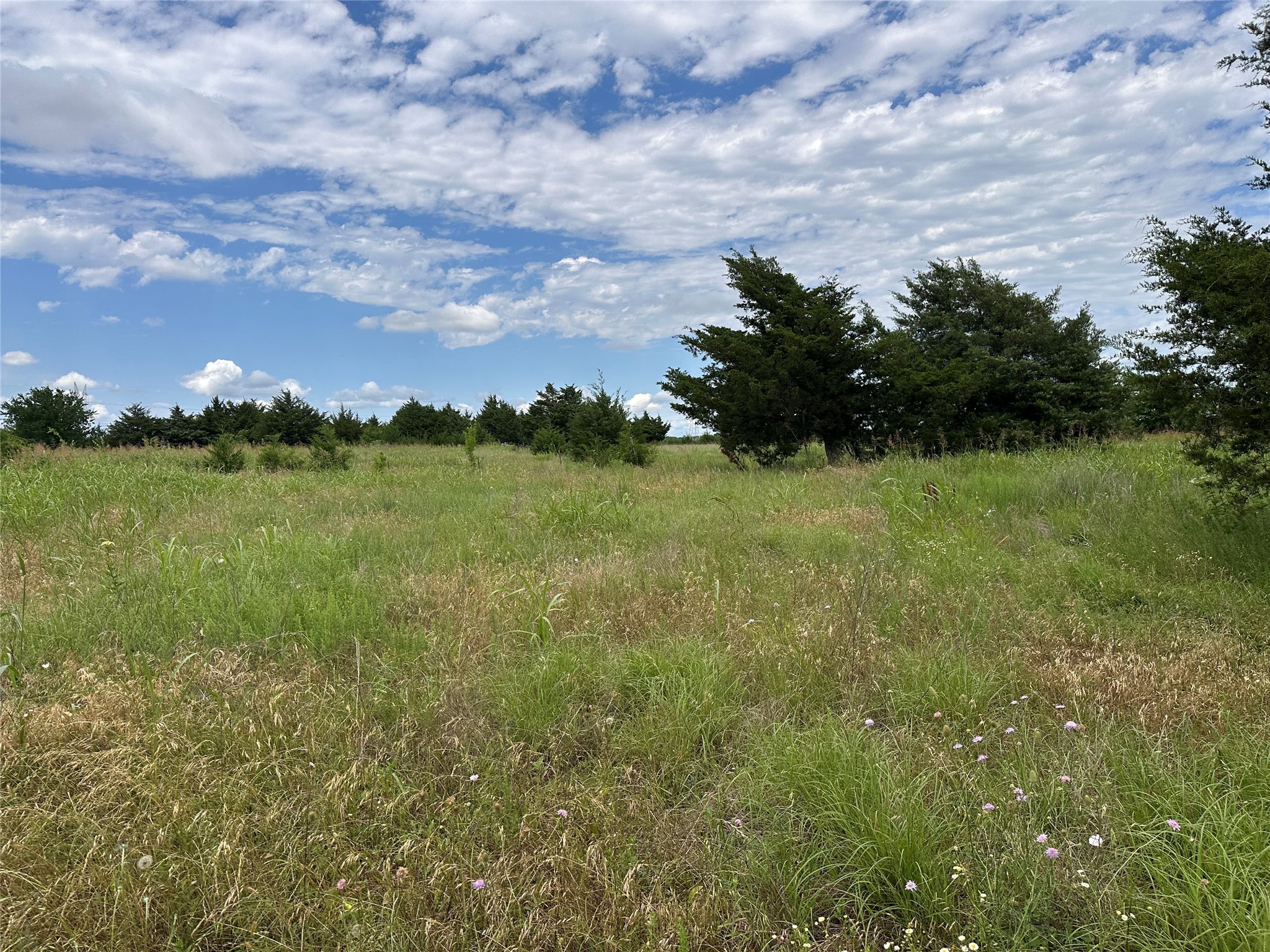 Lot 6 Lemonade Lane Farmersville TX 75442