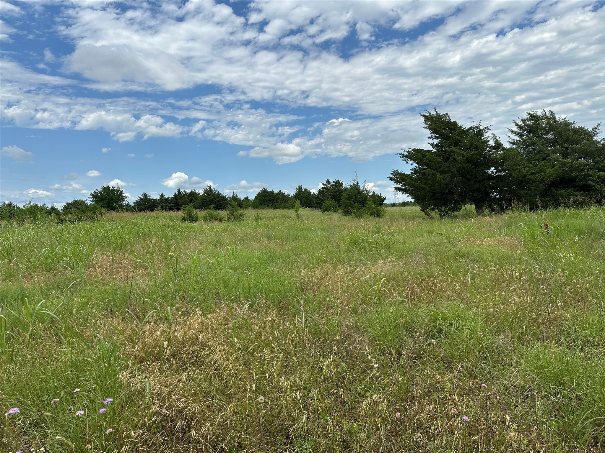 Lot 6 Lemonade Lane Farmersville TX 75442