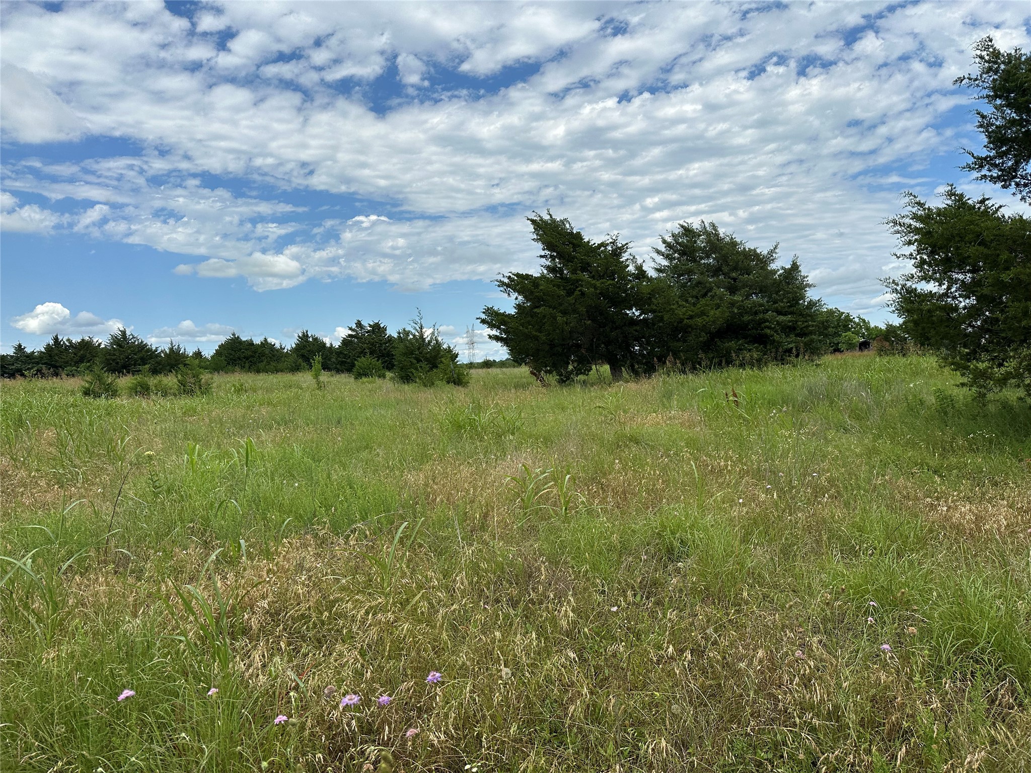 Lot 6 Lemonade Lane Farmersville TX 75442