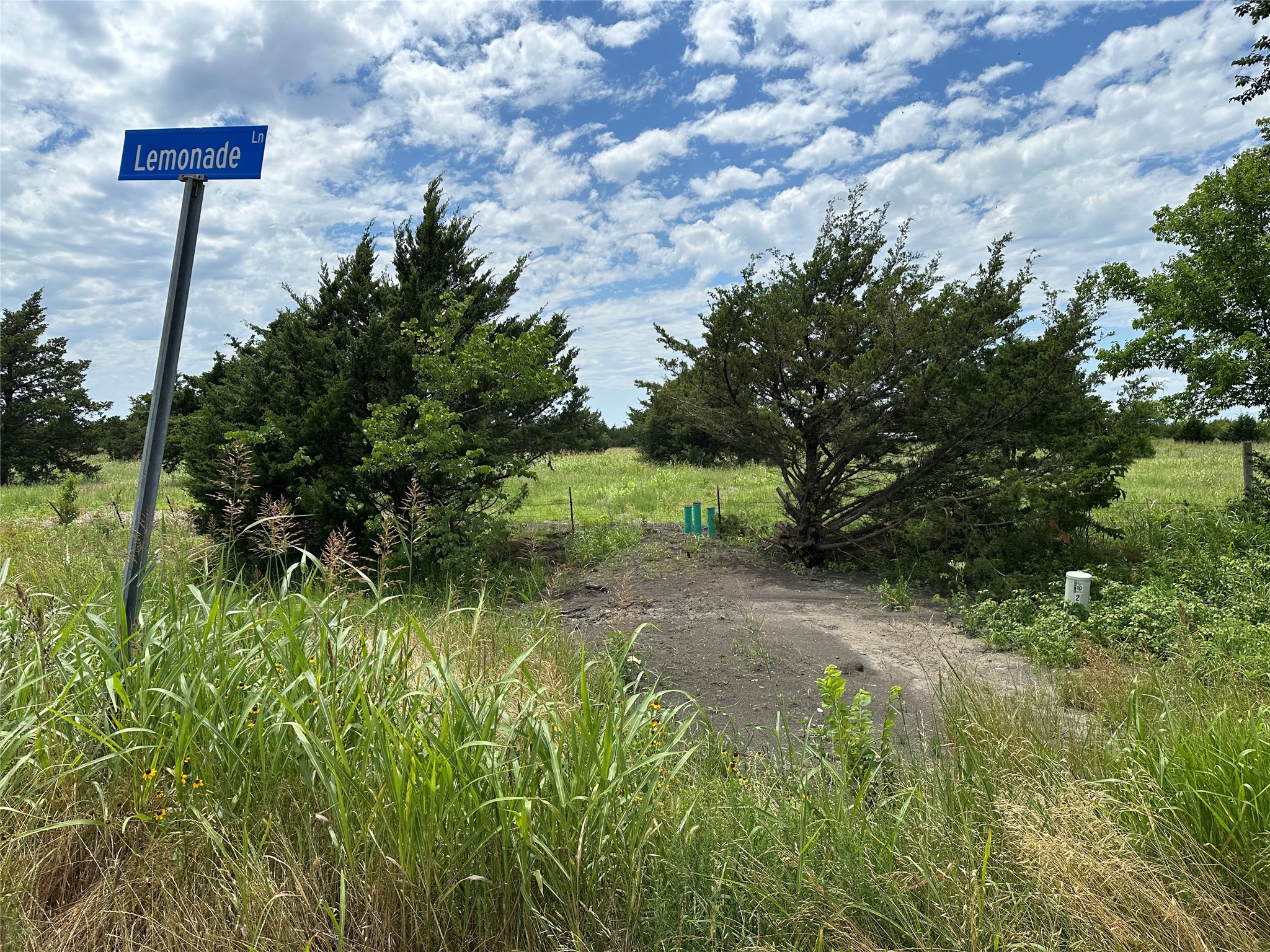 Lot 6 Lemonade Lane Farmersville TX 75442