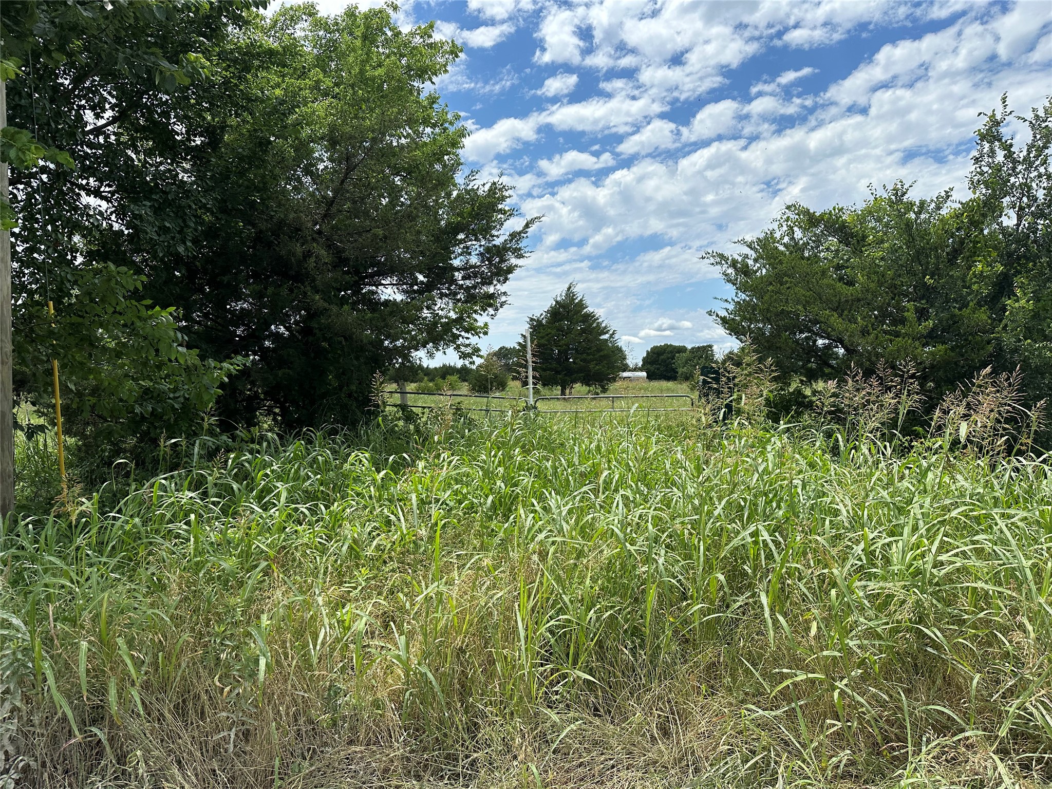 Lot 6 Lemonade Lane Farmersville TX 75442