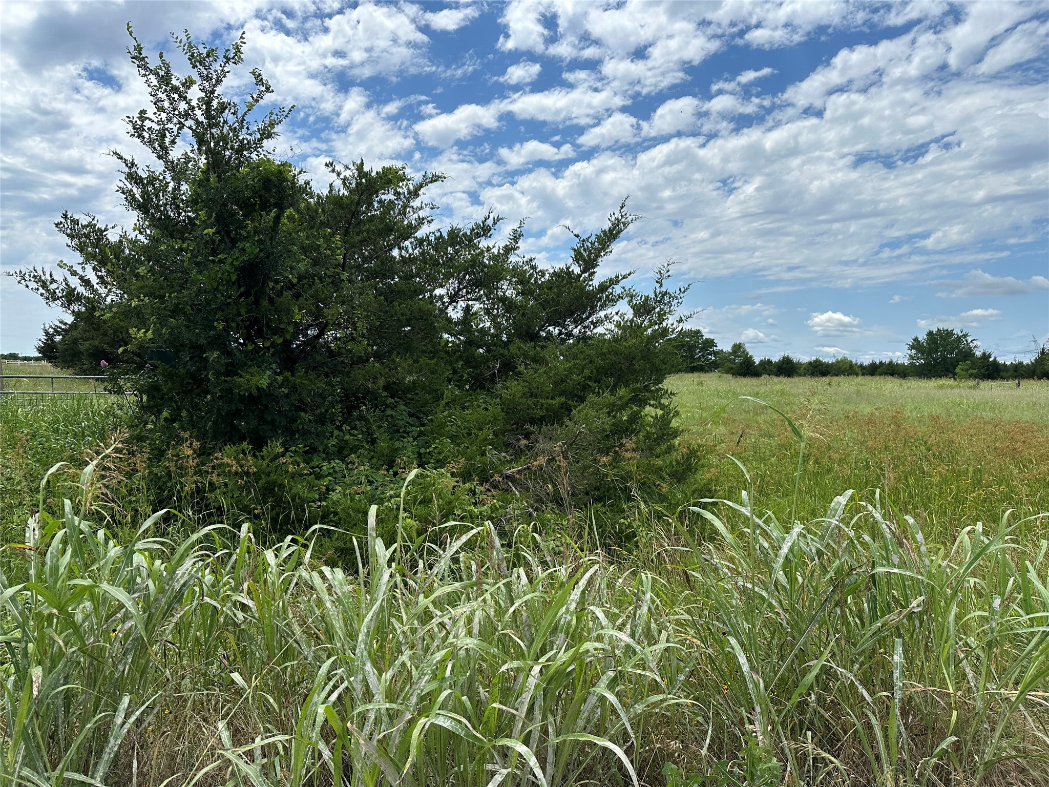 Lot 6 Lemonade Lane Farmersville TX 75442