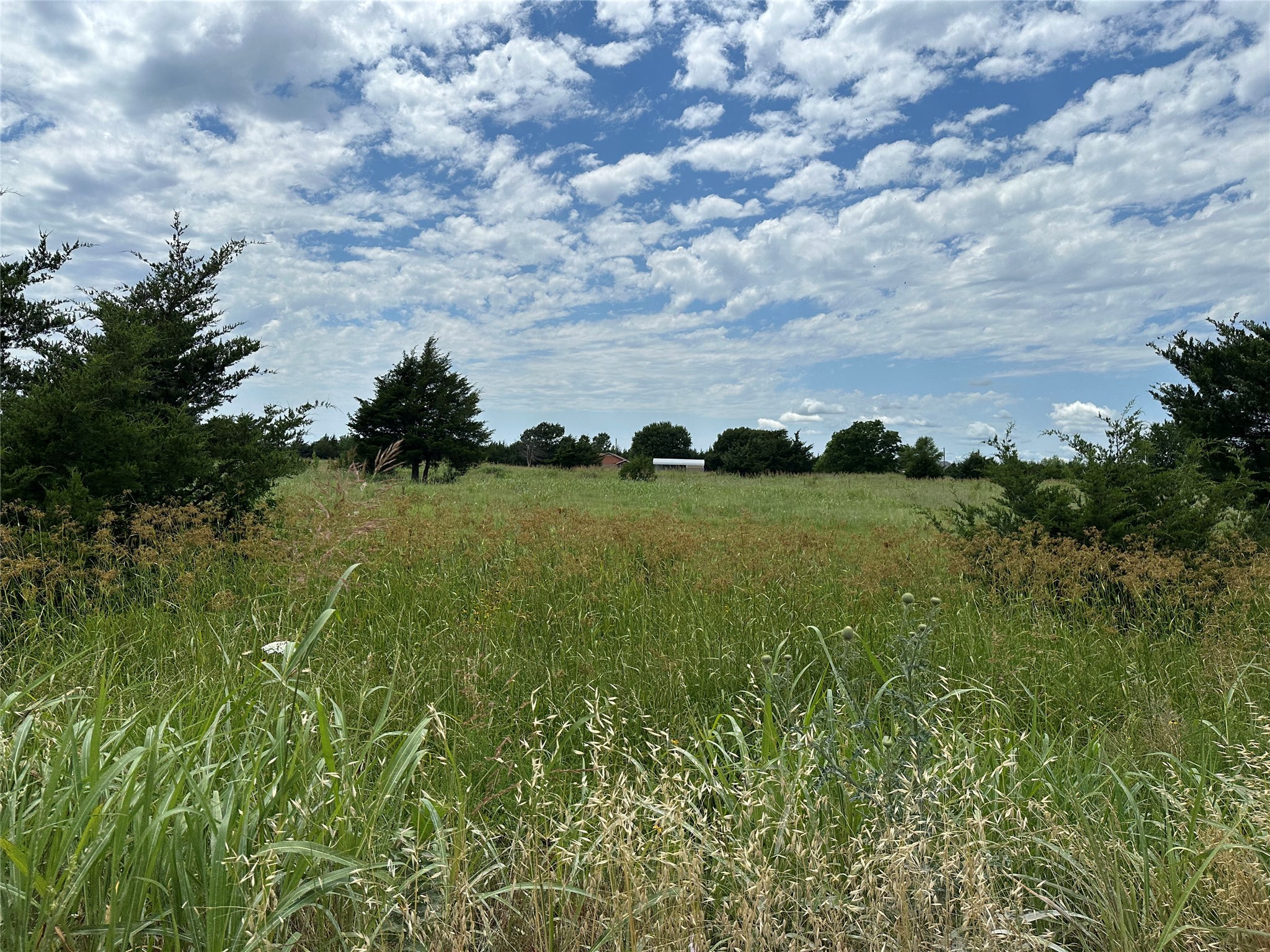 Lot 6 Lemonade Lane Farmersville TX 75442