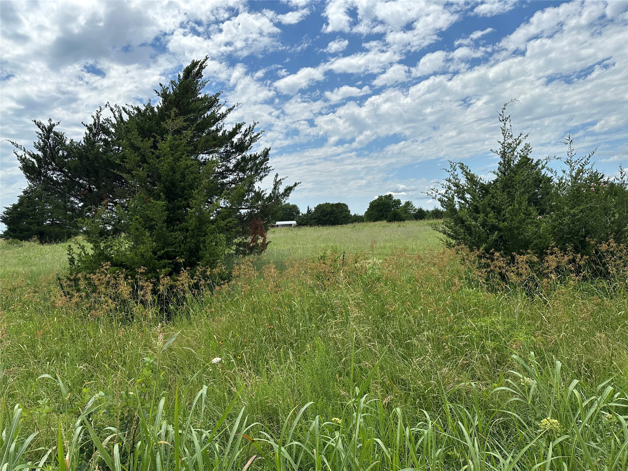 Lot 6 Lemonade Lane Farmersville TX 75442