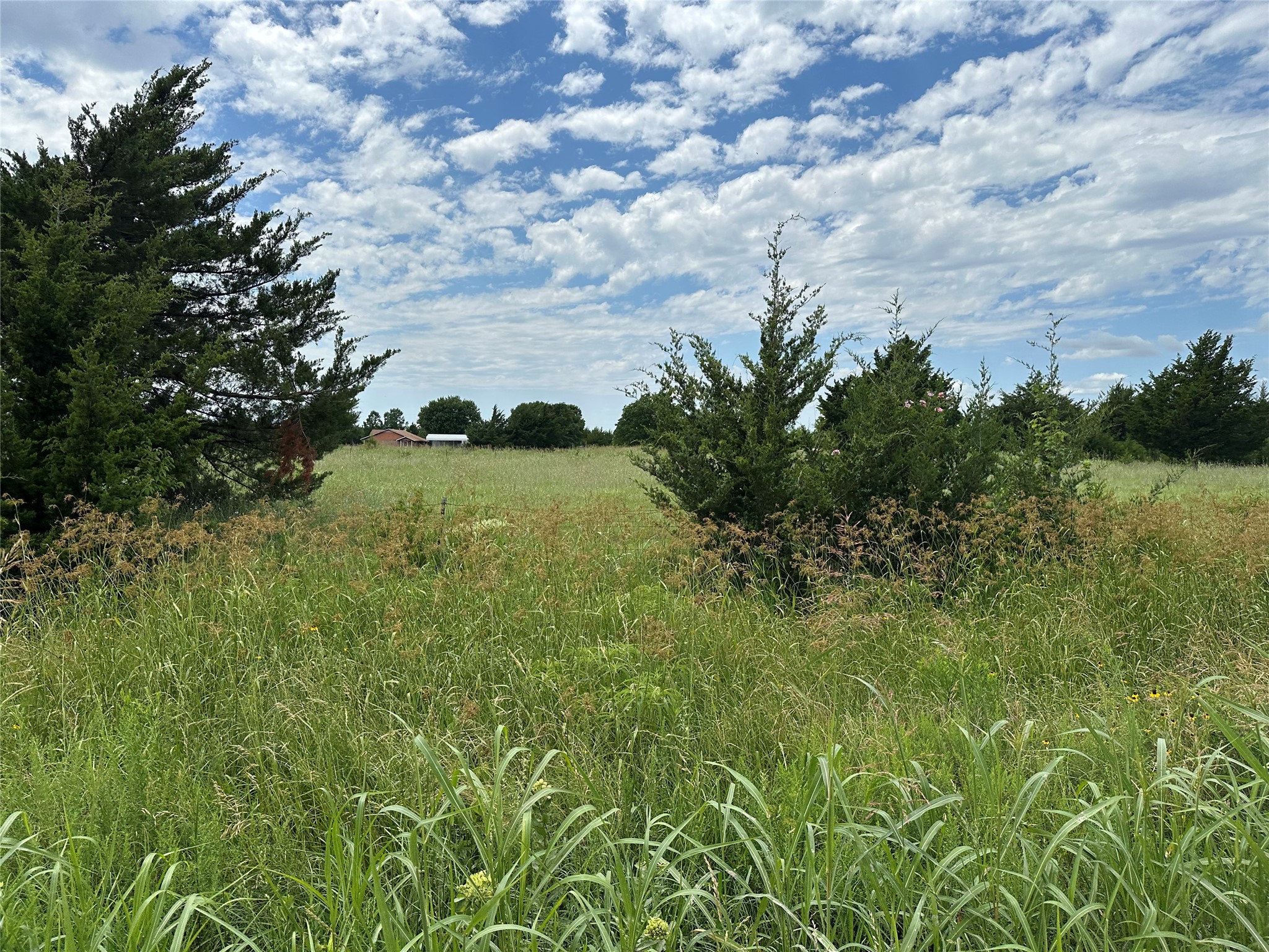 Lot 6 Lemonade Lane Farmersville TX 75442