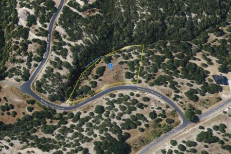 29900 Montana Springs Drive Marble Falls TX 78654