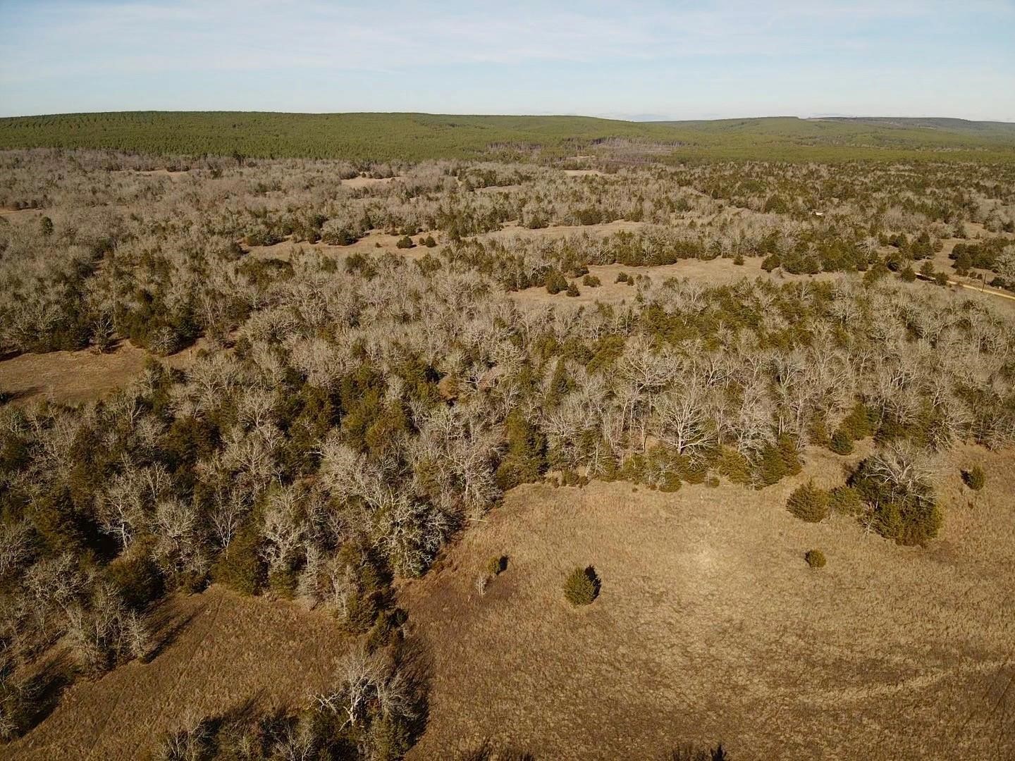 Lake Ozzie Cobb 102-b Antlers OK 74523