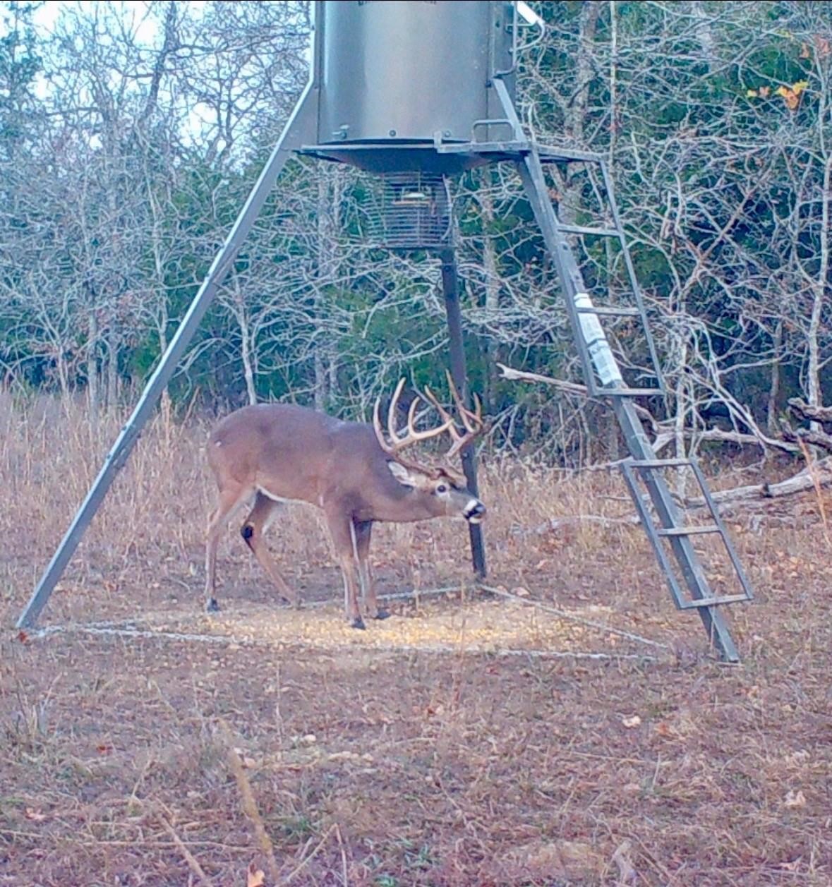 Lake Ozzie Cobb 102-b Antlers OK 74523
