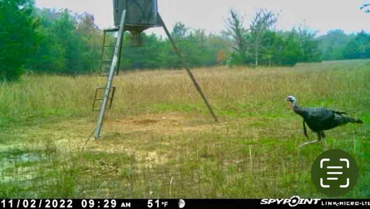 Lake Ozzie Cobb 102-b Antlers OK 74523