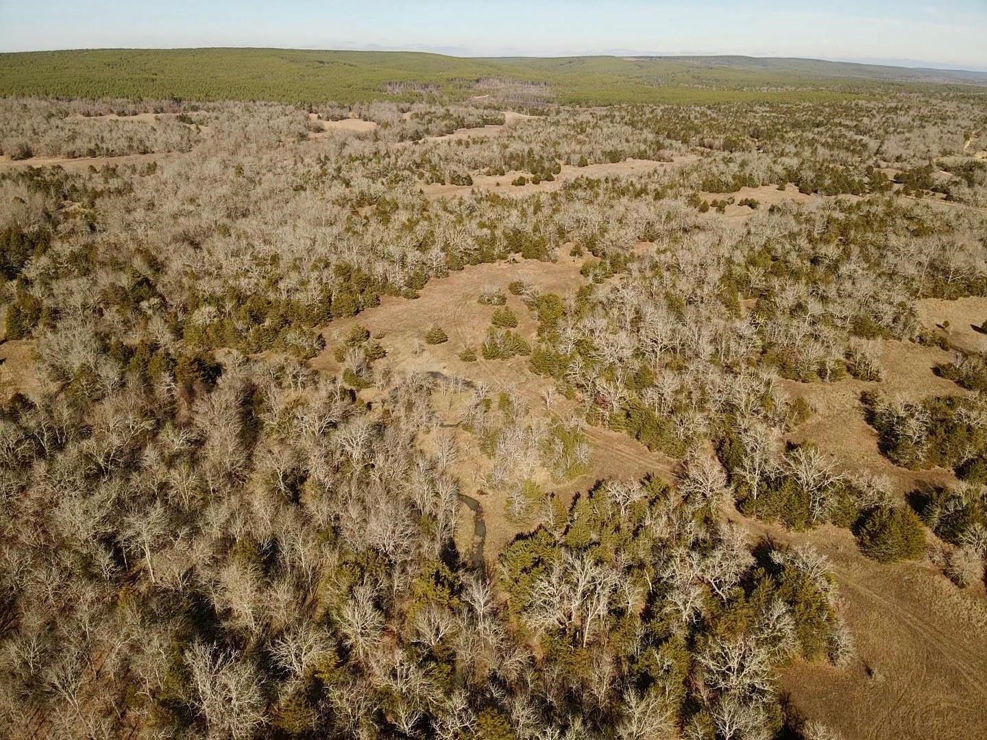 Lake Ozzie Cobb 102-b Antlers OK 74523