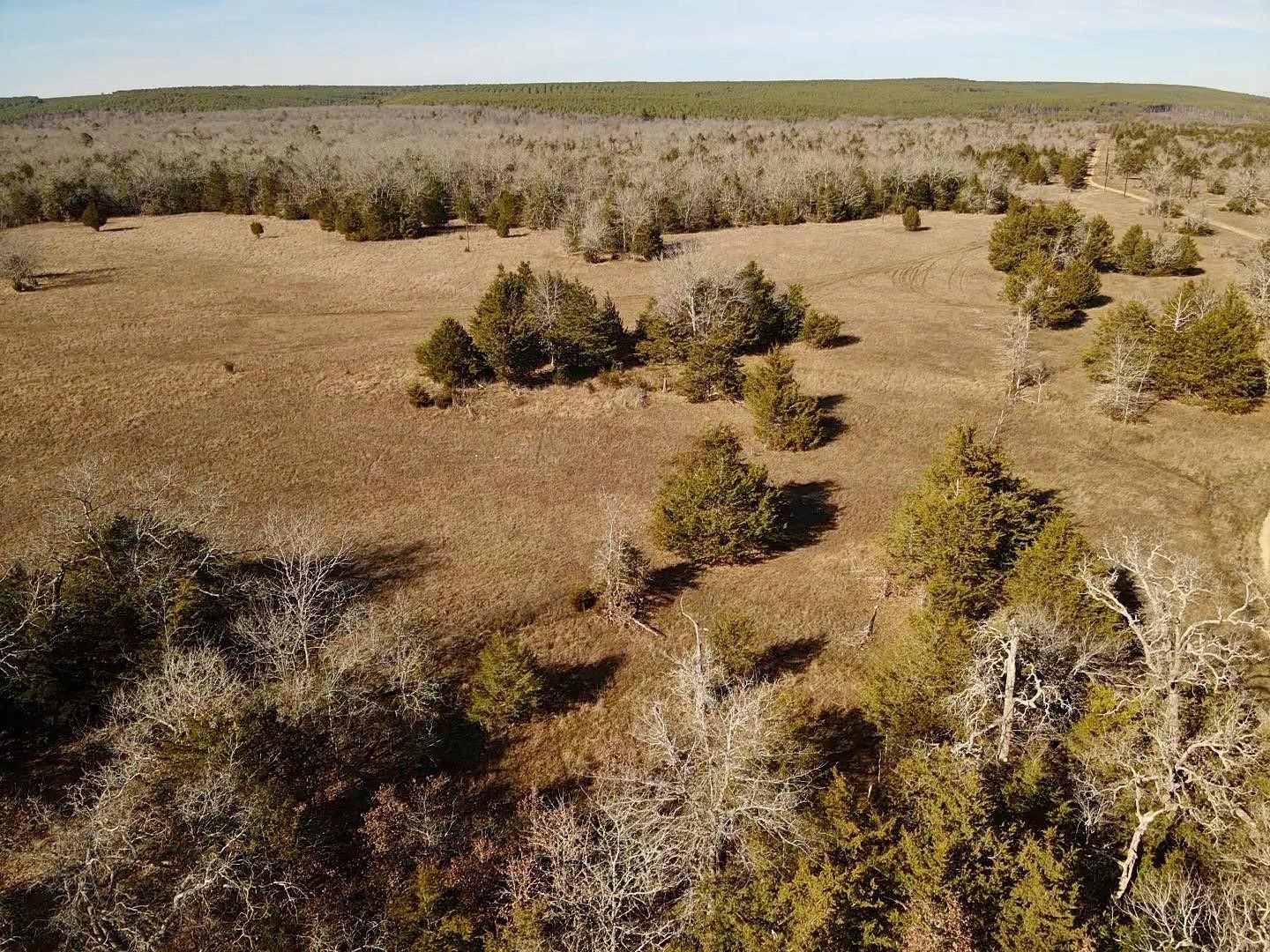 Lake Ozzie Cobb 102-b Antlers OK 74523