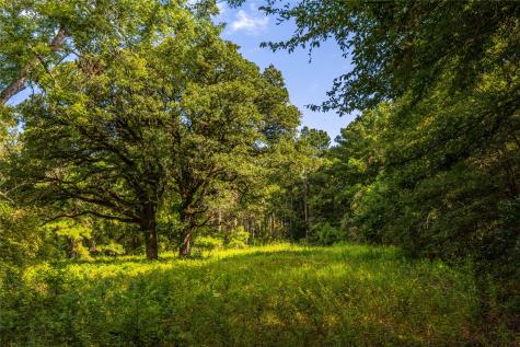 Tract 6 Highway 155 Frankston TX 75763