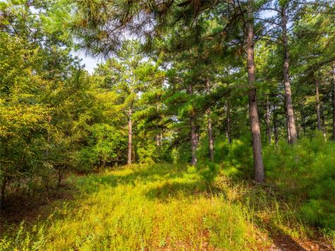 Tract 6 Highway 155 Frankston TX 75763