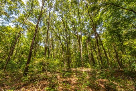 Tract 6 Highway 155 Frankston TX 75763