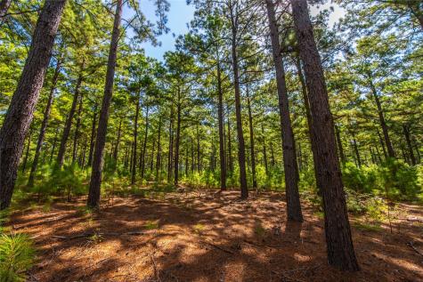 Tract 6 Highway 155 Frankston TX 75763