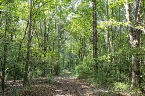 Tract 6 Highway 155 Frankston TX 75763