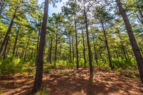 Tract 6 Highway 155 Frankston TX 75763