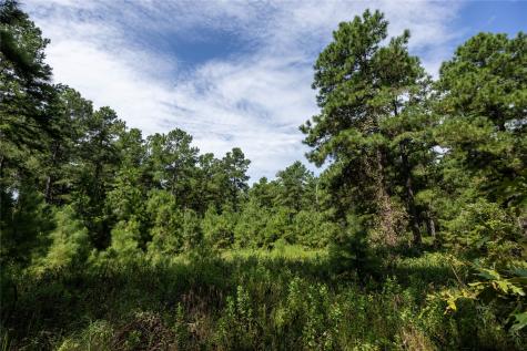 Tract 6 Highway 155 Frankston TX 75763