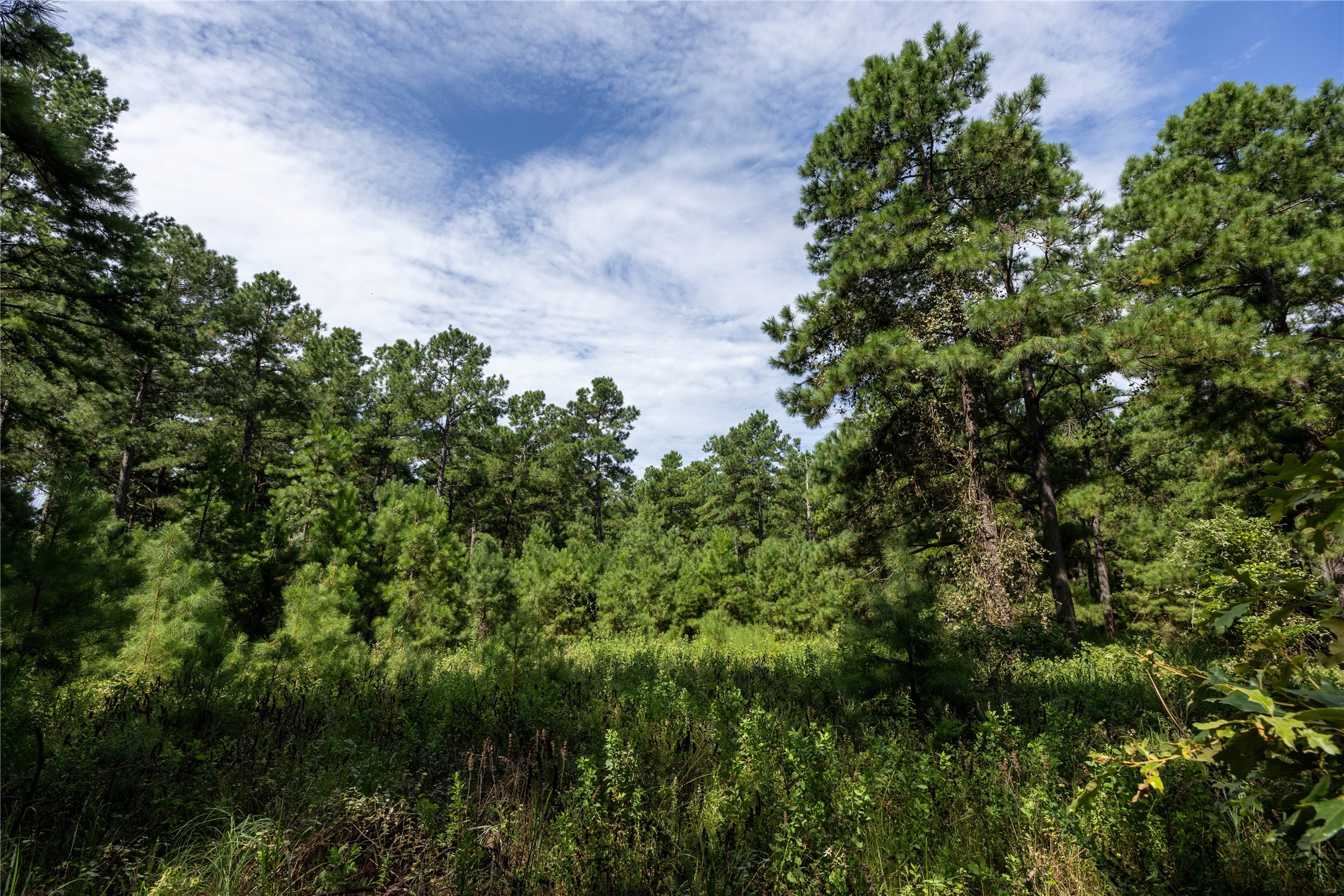Tract 6 Highway 155 Frankston TX 75763