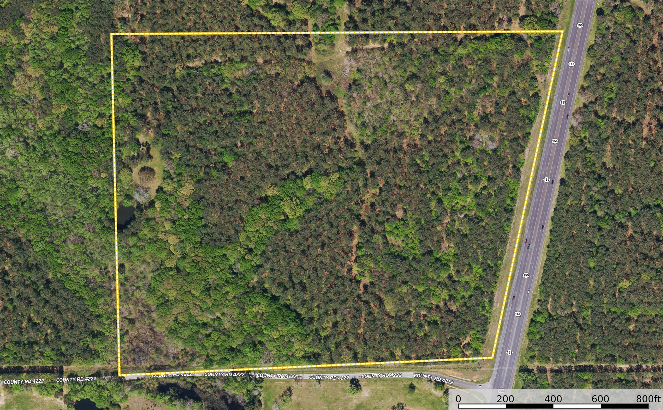 Tract 6 Highway 155 Frankston TX 75763