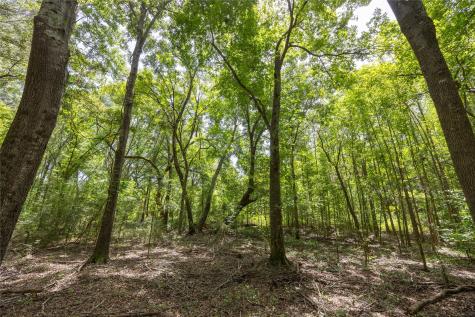 Tract 6 Highway 155 Frankston TX 75763