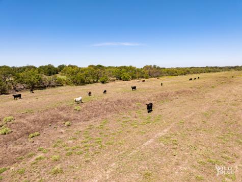 Tbd County Road 428 Rising Star TX 76471