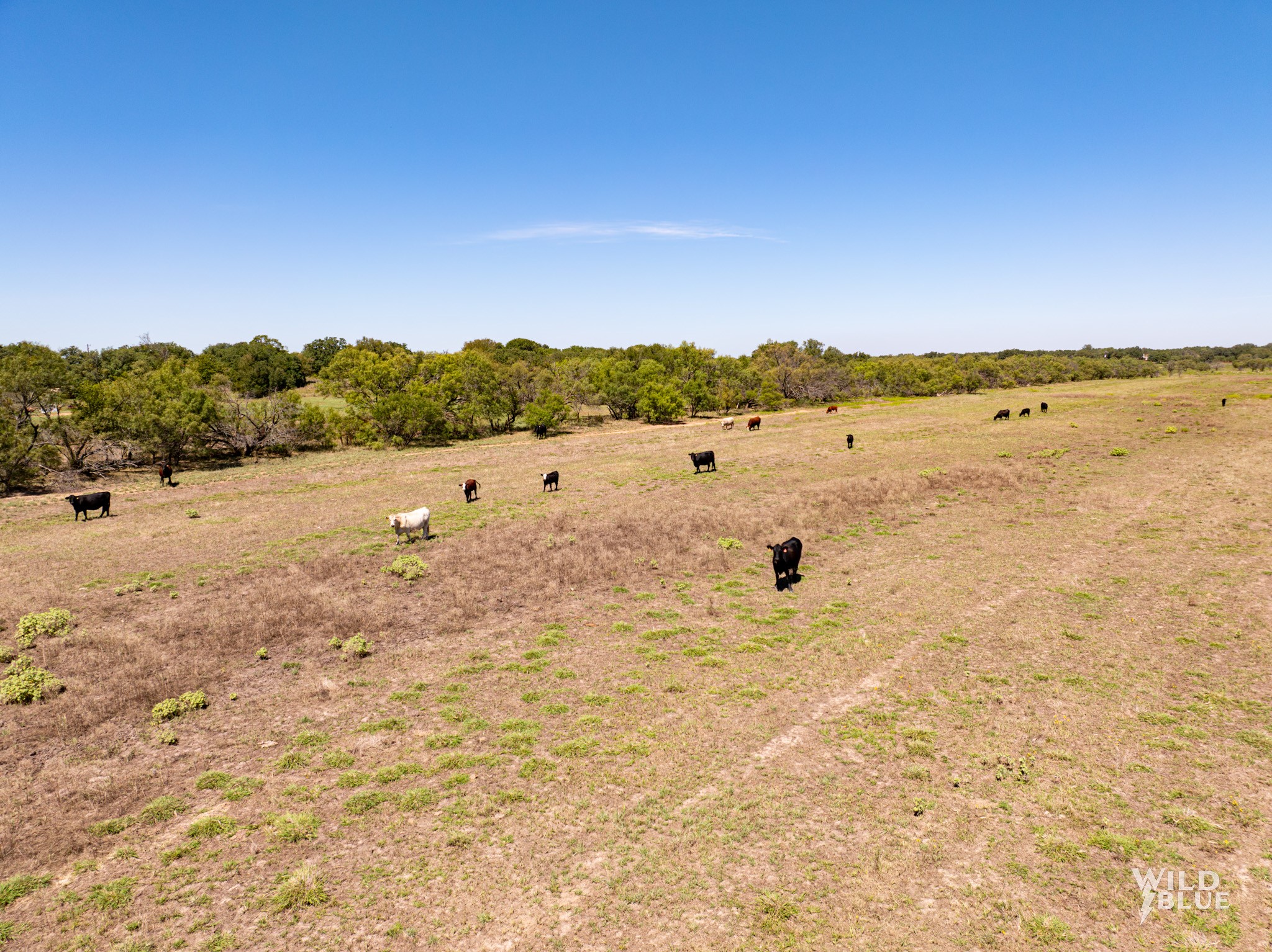 Tbd County Road 428 Rising Star TX 76471
