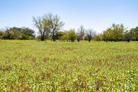 Tbd County Road 428 Rising Star TX 76471