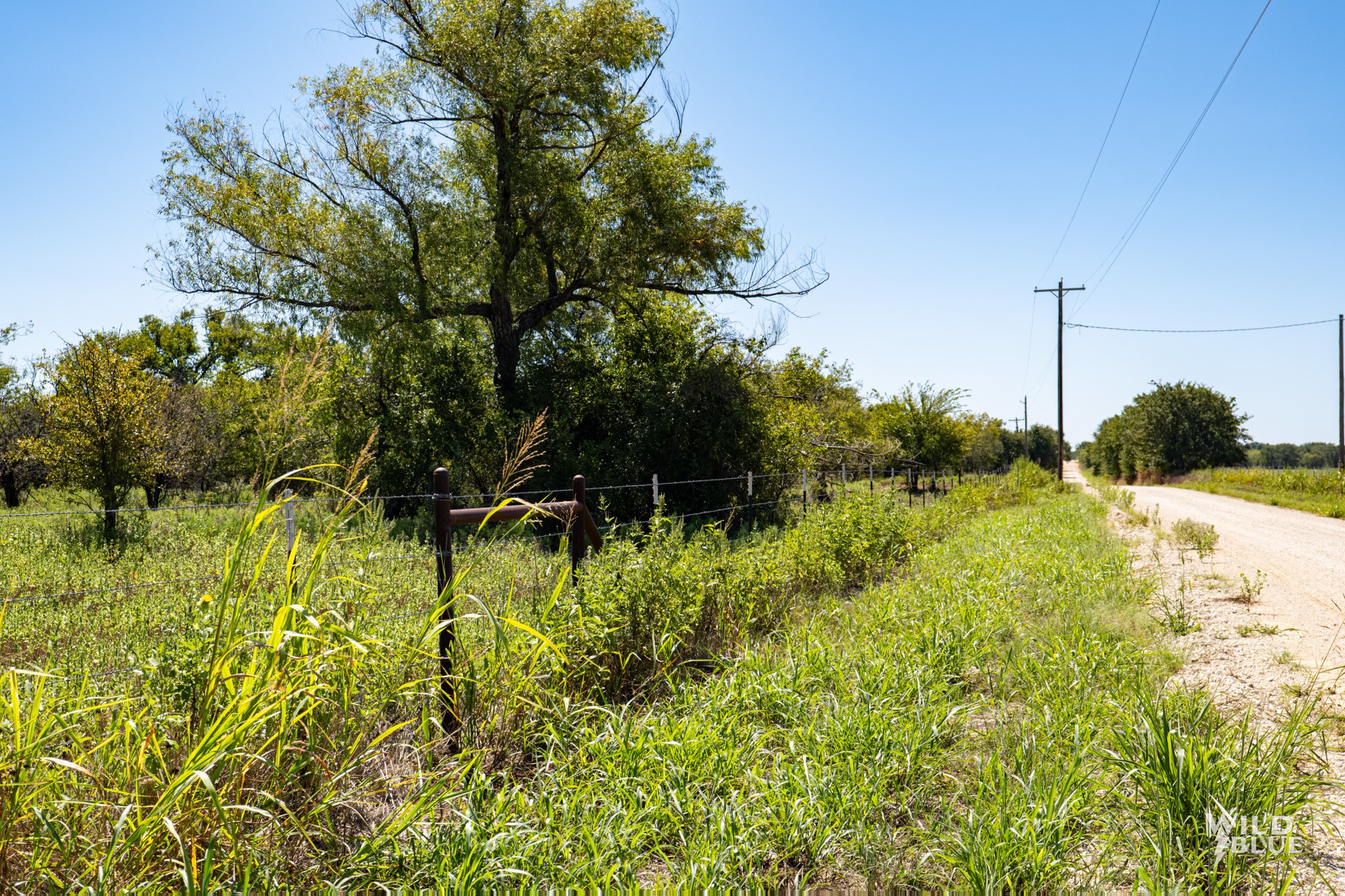 Tbd County Road 428 Rising Star TX 76471