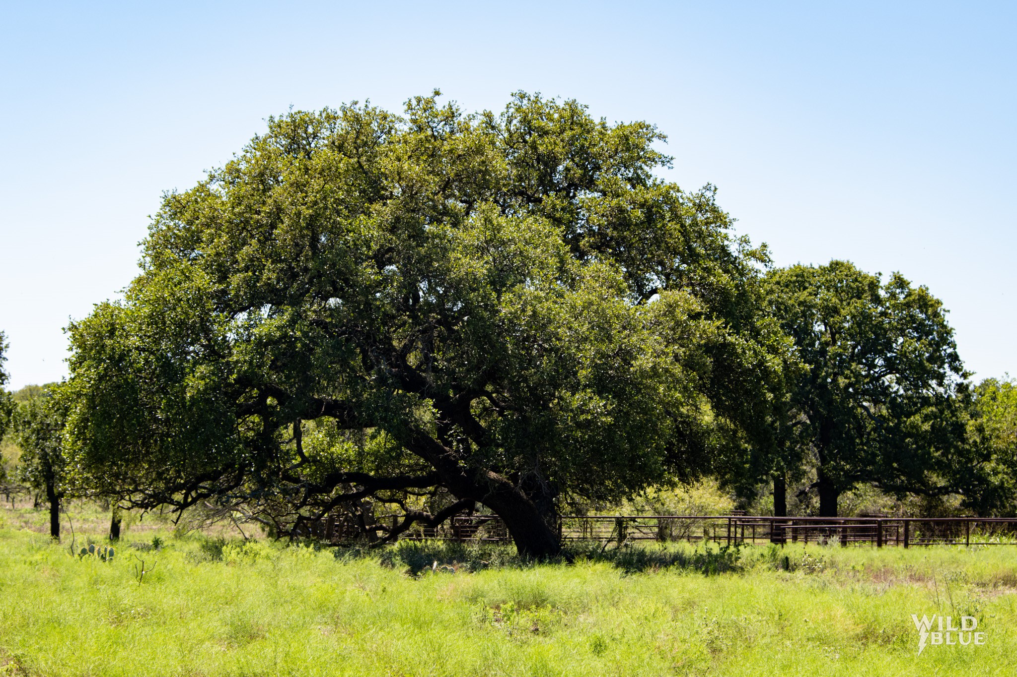 Tbd County Road 428 Rising Star TX 76471
